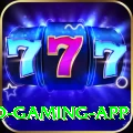 pkrvip Pro Gaming App